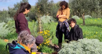 agroforeste